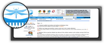Logo libellules.ch